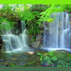 Divine Tokens of Love